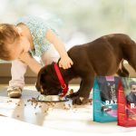 Molino Chacabuco Amplía su Línea de Alimentos para Mascotas con Dos Nuevas Marcas en Argentina