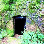 Grave of Barog Travel Guide and Tourism in Barog, Himachal Pradesh