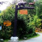 Gamgul Siyabehi Wildlife Sanctuary Tourism in Chamba, Himachal Pradesh